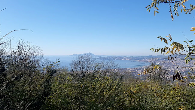 Opinii despre Ristorante Vesum în Ercolano - Ristorazione