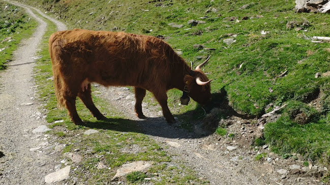 Opinii despre Baita Martalm în Bolzano - Ristorazione