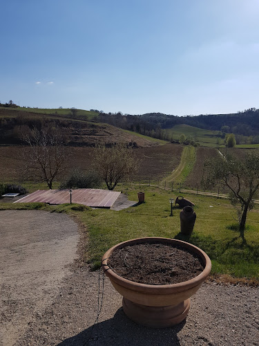 Tenimenti Andreucci-Az Vitivinicola Il Chicco di Andreucci Flavio - Pienza