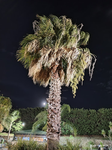 Comments and reviews of Pizzeria Coco Jambo