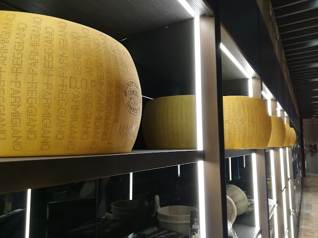 Via Paolo Canali, 8, 40127 Bologna BO