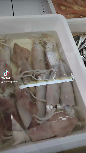 Via Santa Maria Capua Vetere, 81043 Capua CE