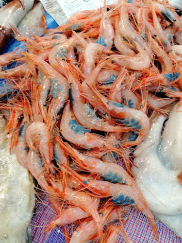 Via Luciano Manara, 28, 98123 Messina ME