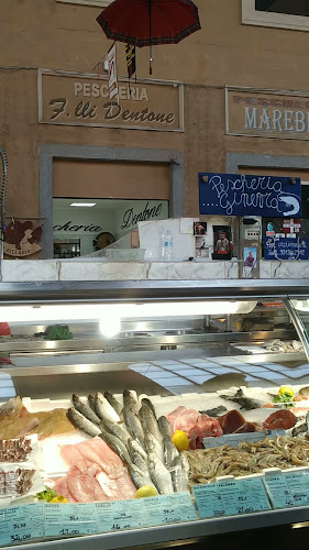 Via Buontalenti, 57126 Livorno LI