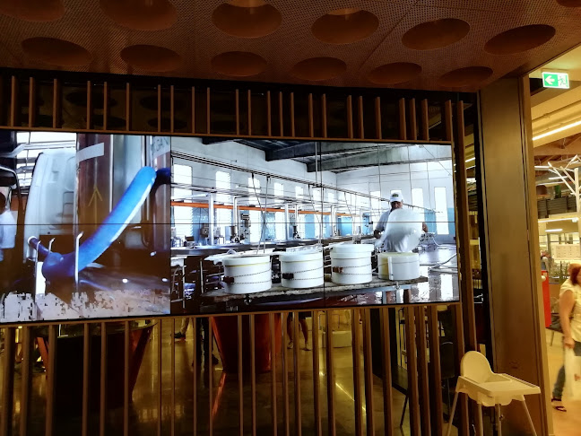 Comentarii opinii despre Parmigiano Reggiano