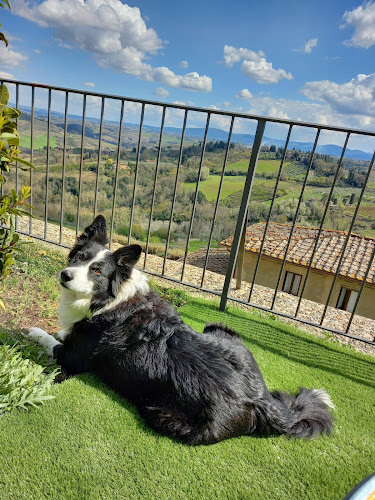 Le Vecchie Mura Phone number