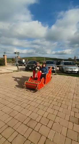 Comentarii opinii despre Ristorante Pizzeria La Masseria