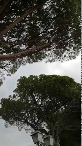 Comentarii opinii despre Osteria I Matetti