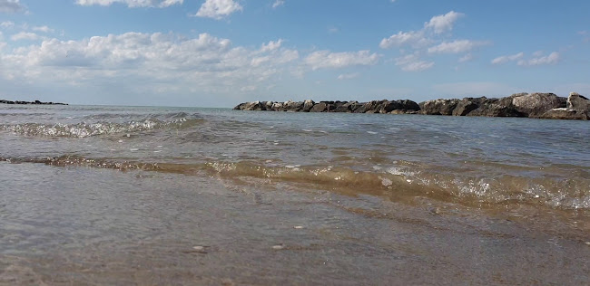 Opinii despre Altamarea Rimini | Ristorante di Pesce | Cucina Romagnola | Piadina | Pizza | Burger în Rivabella - Ristorazione