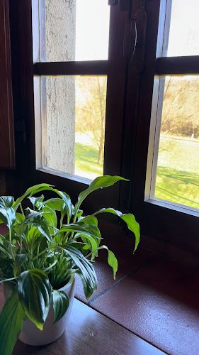 Opinii despre Ristorante Antica Torre în Torba - Ristorazione