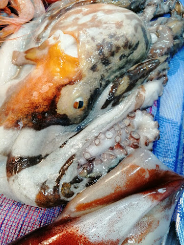 Reviews of Pescheria In Centro in Messina - Ristorazione