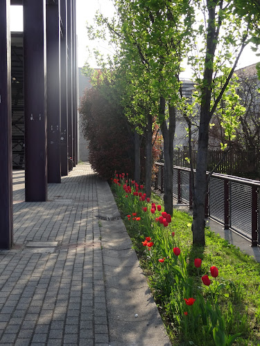 ZAC! Zone Attive di Cittadinanza - Ristorazione