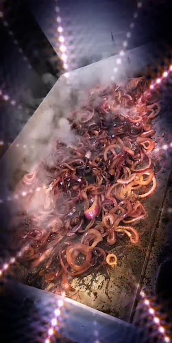 Pizzeria Sarsa verde - Livorno