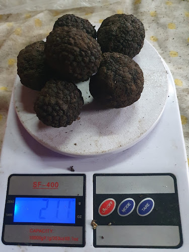 Home restaurant BELMONTE - San Nicola