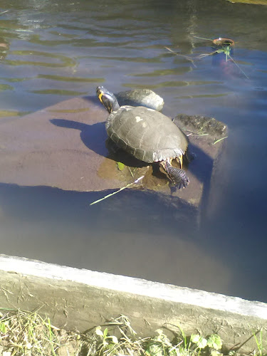 La Peschiera di Baioni Donatella - Ristorazione
