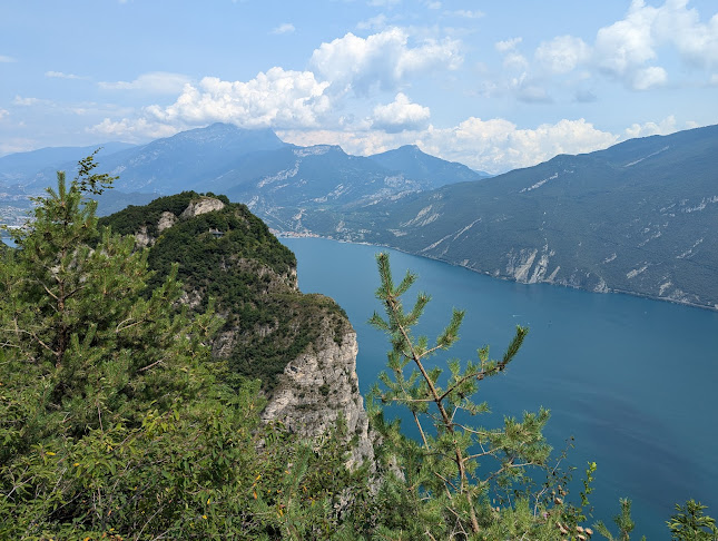Ristorante Rosalpina - Ristorazione