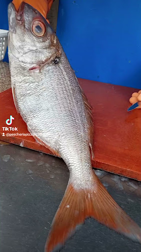 Opinii despre Pescheria Pizzi Pizzi di D'Anna Vincenzo în Napoli - Ristorazione