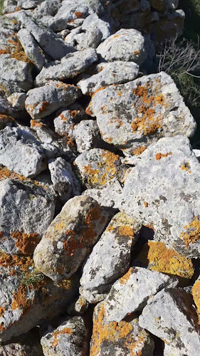 Ristorante Pizzeria Sos Pianos