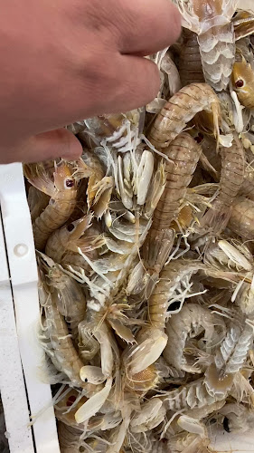 Opinii despre Home restaurant BELMONTE în San Nicola - Ristorazione