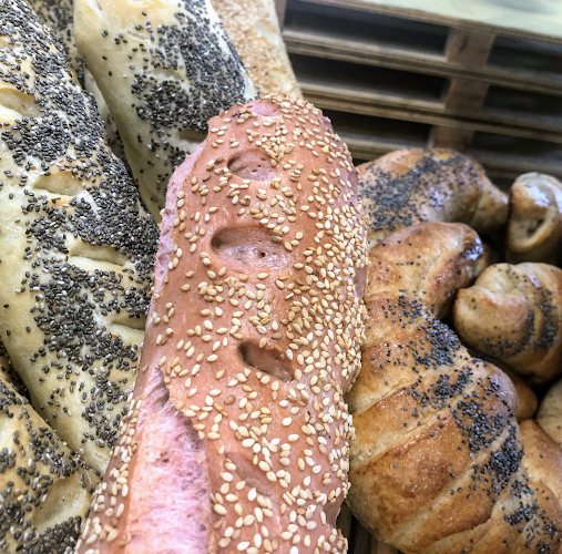 Bakery-Pizzeria Dolceria Caffetteria - Grottaferrata