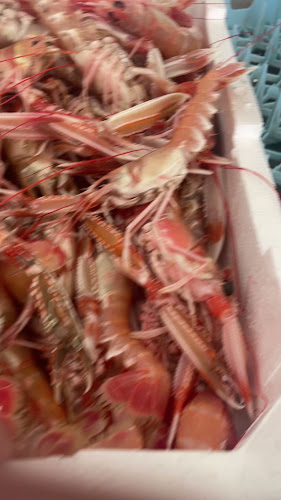 Opinii despre Ristorante La Liscia da Ori feat Casa Orazi în Fano - Ristorazione