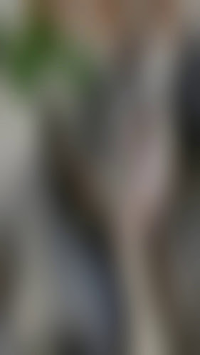 La pescheria di Sabrina e Stefano - Roma