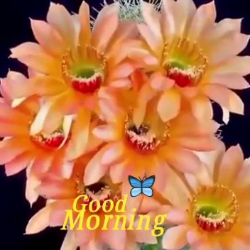 Pierino Penati - Ristorazione