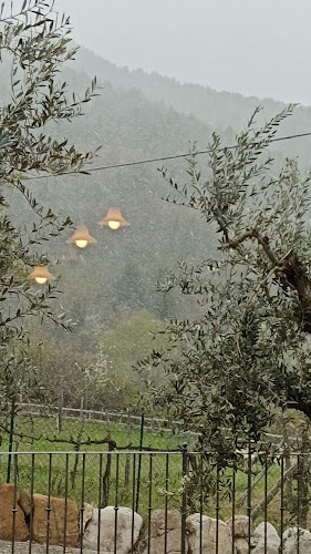 Comments and reviews of Chiaracongusto