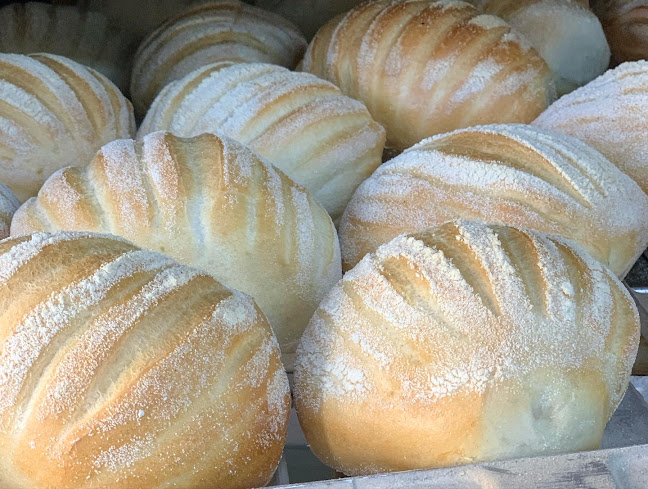 PANIFICIO LA MAISON DEL PANE - Marigliano