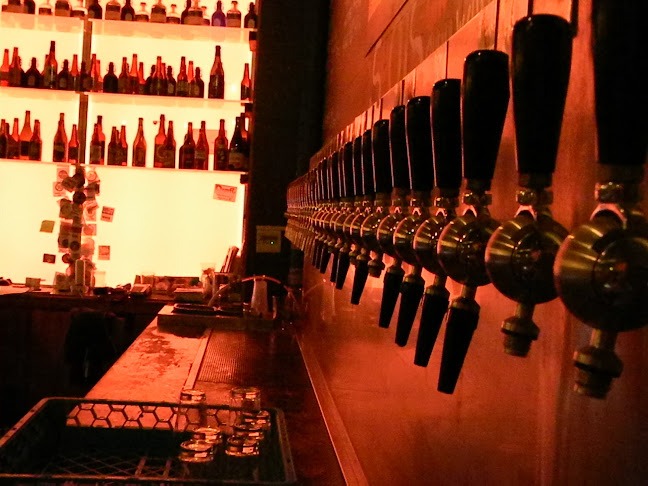 Draft Tap Bar - Roma