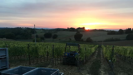 Tenimenti Andreucci-Az Vitivinicola Il Chicco di Andreucci Flavio