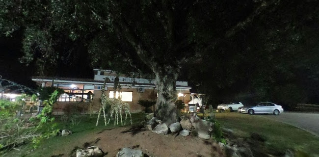 Opinii despre Il Tulipano Nero în Anzio - Ristorazione