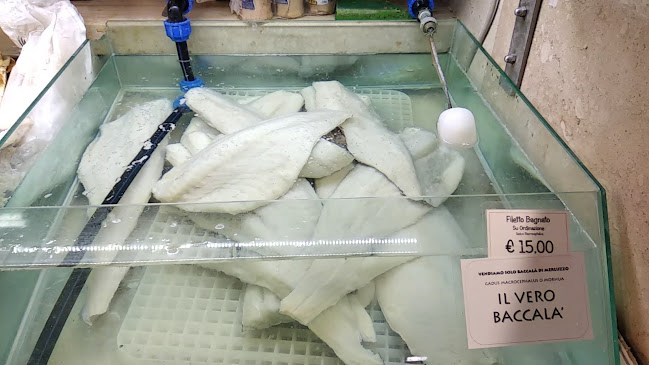 Reviews of Il Cozzaro Nero Cagliari in Cagliari - Ristorazione