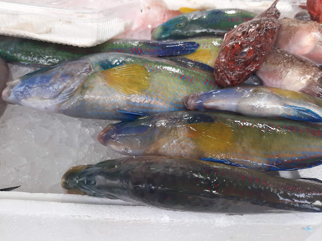 Comentarii opinii despre Mercato Coperto Polignano a mare