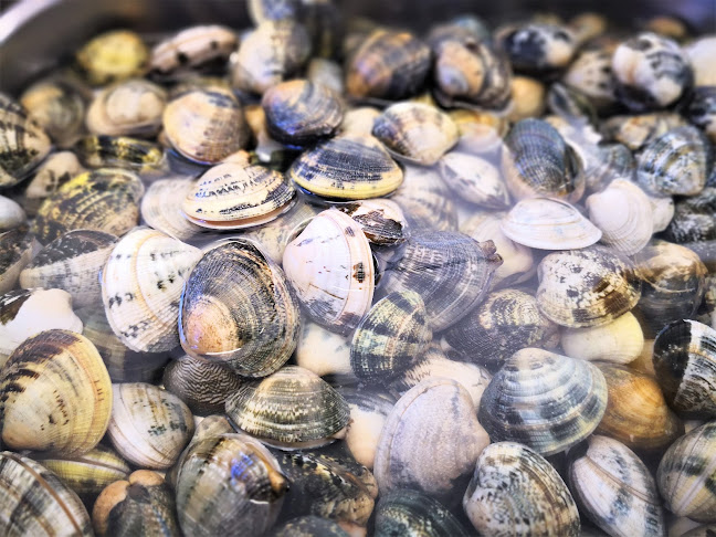 Comentarii opinii despre Never Land