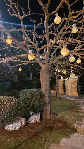 Comentarii opinii despre Il Fagiano