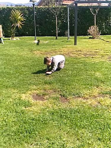 Opinii despre L'Altra Tappa în Ciampino - Ristorazione