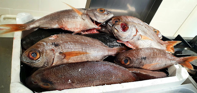 Opinii despre Ristorante Alessandro în Chianciano Terme - Ristorazione