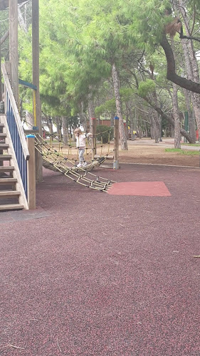 Pineta Pizza Club - Ristorazione