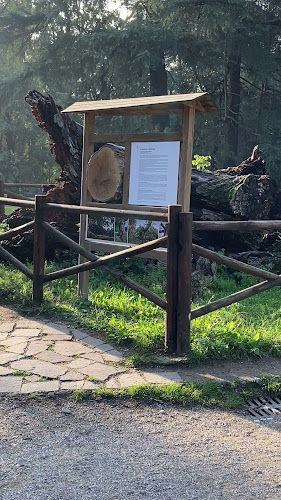 Bar & Pub La Comida da Jenny Milano - Ristorazione