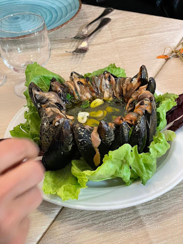 Opinii despre La Vela Bologna Ristorante Pizzeria în Bologna - Ristorazione