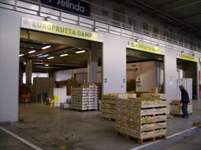 Punto Frutta Srl