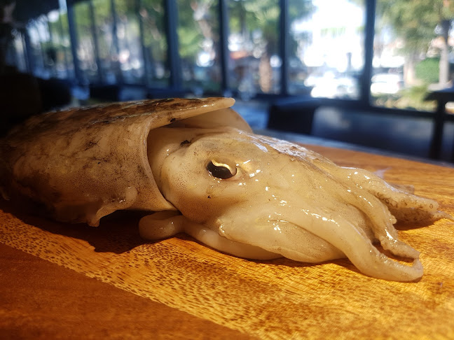 Opinii despre RISTORANTE REVE în Desenzano del Garda - Ristorazione