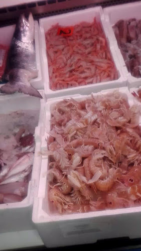 PESCHERIA SOTTOZERO Open Times