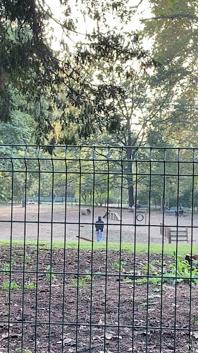 Comentarii opinii despre Bar & Pub La Comida da Jenny Milano