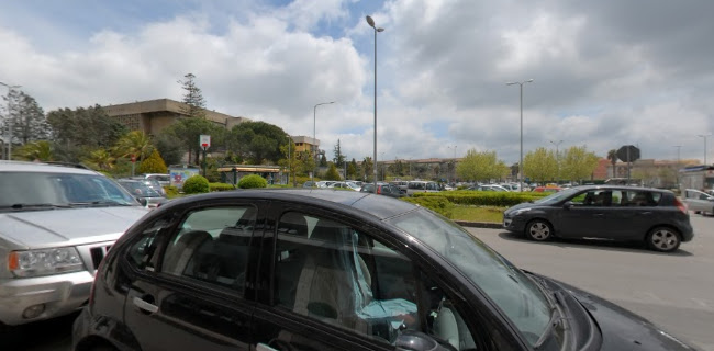 Bar Raniolo 1977 - Ristorazione