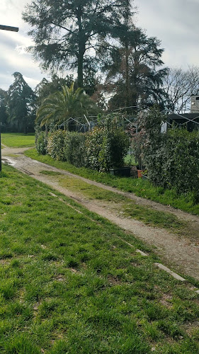 Fortezza 59 - Pistoia