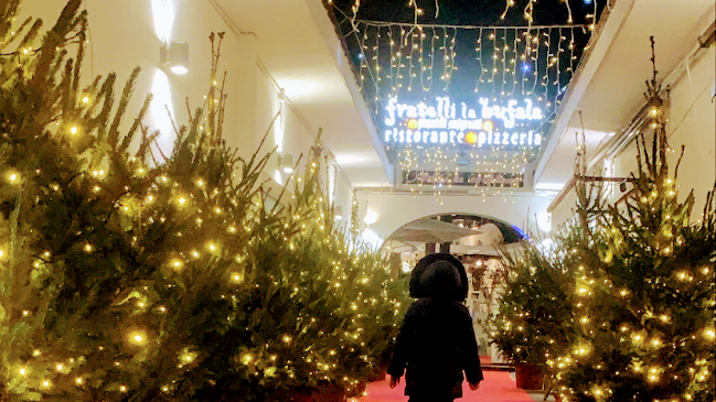 Via Iasolino, 28, 80077 Ischia NA