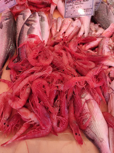 Comentarii opinii despre Pescheria F.lli Centorrino