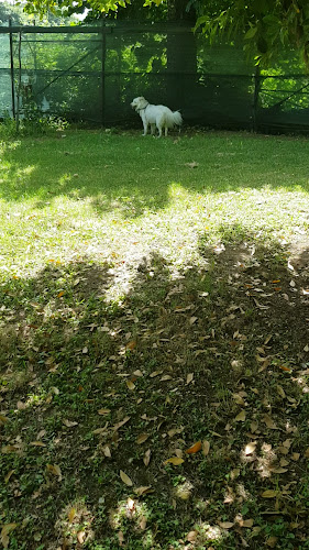 Villaggio San Francesco - Ristorante - Pizzeria